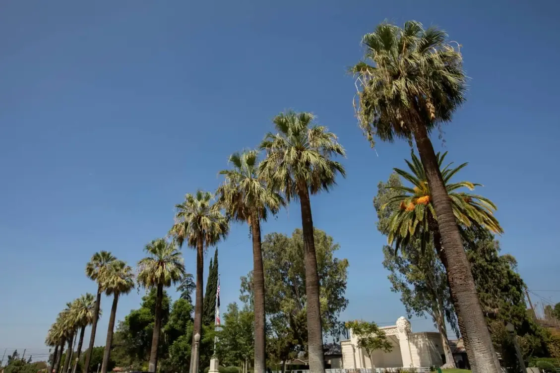 Commercial Roofing in Colton, CA