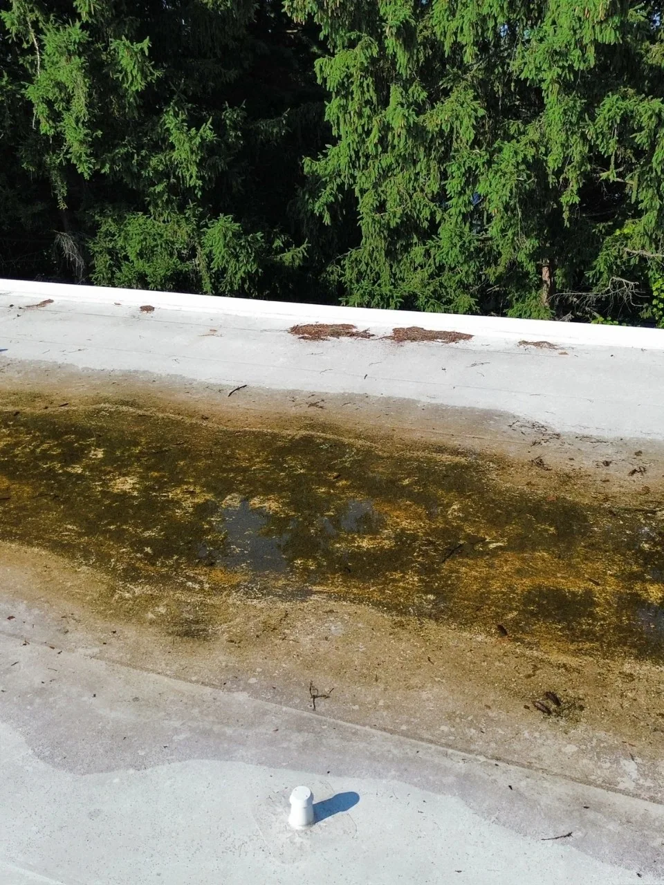 Leak Repair in Fontana, CA